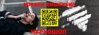 a pvp Славгород