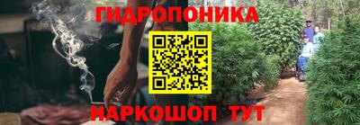 a pvp Славгород