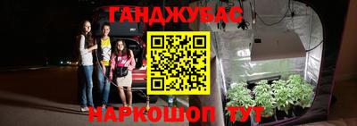 трава Сланцы
