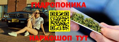 трава Сланцы