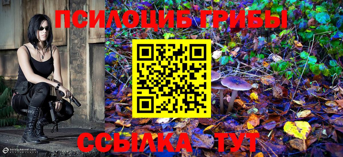 Псилоцибиновые грибы прущие грибы Узловая